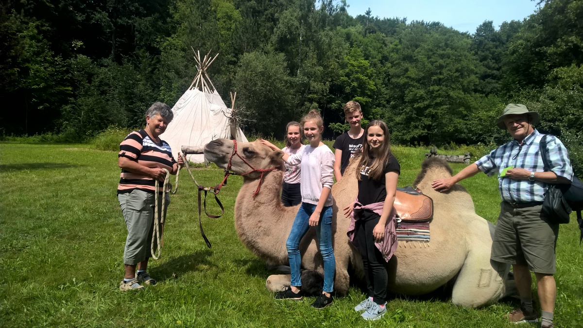 Lernen Sie diese hochintelligenten Tiere kennen>